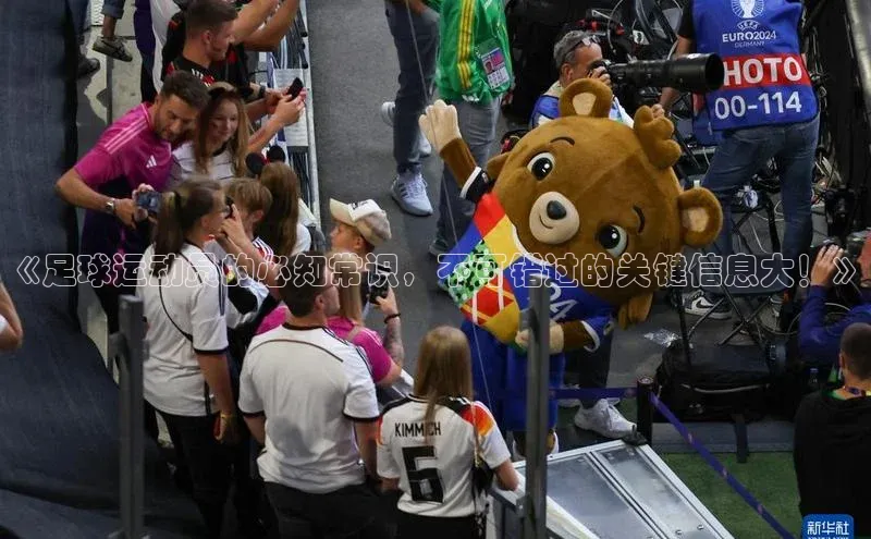 恒行6娱乐注册小米《足球运动员的必知常识，不可错过的关键信息大！》