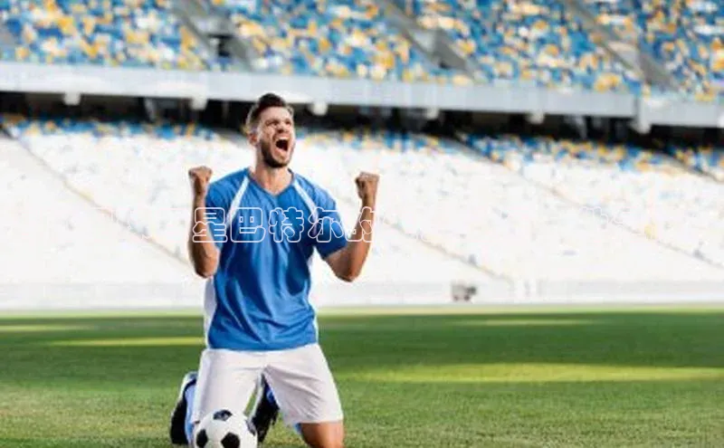 恒行6注册官网入口普信公司揭秘足球巨星巴特尔的生涯经历，他是谁？