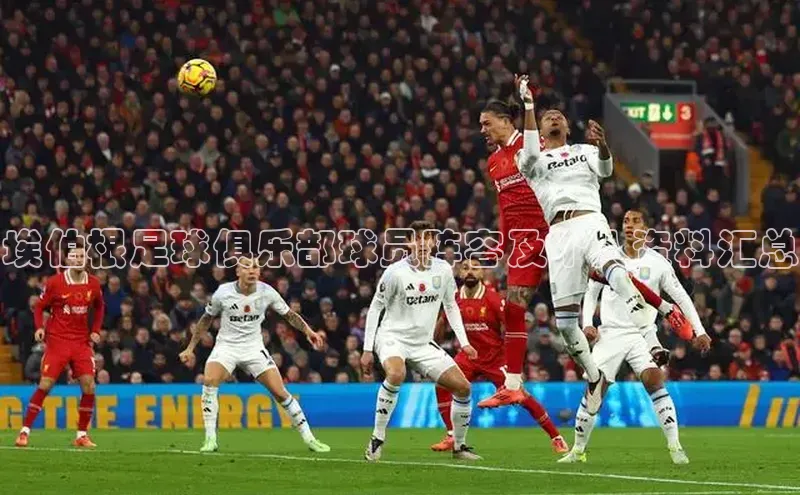 恒行6注册登录彩讯股份埃伯根足球俱乐部球员阵容及个人资料汇总