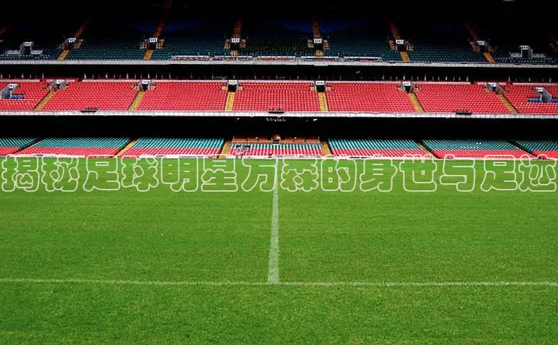 恒行平台招商梯哥哥科技揭秘足球明星万森的身世与足迹