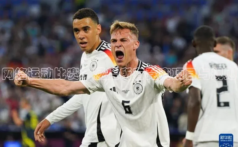 网络运动比赛：涵盖所有竞赛项目与规则