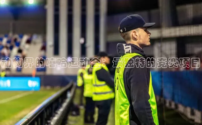 动物界的嘻哈运动会：最独特的竞赛项目