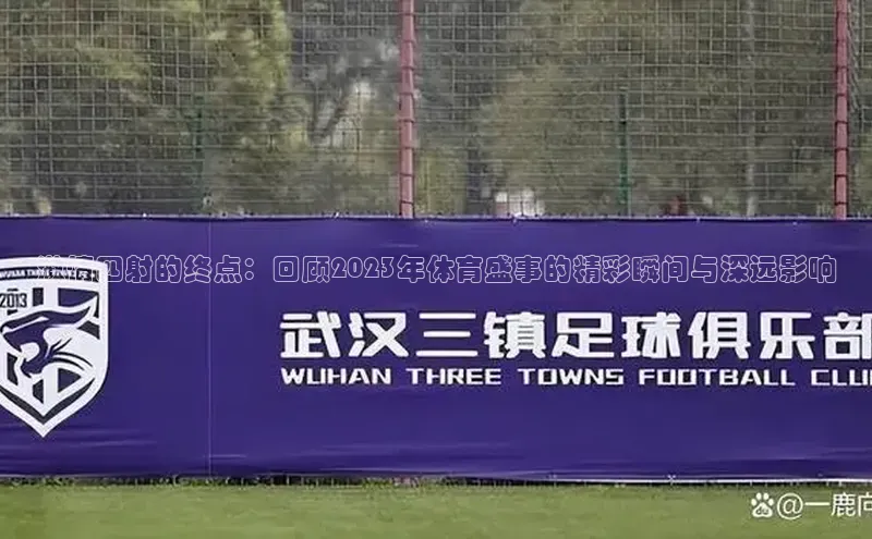 激情四射的终点：回顾2023年体育盛事的精彩瞬间与深远影响