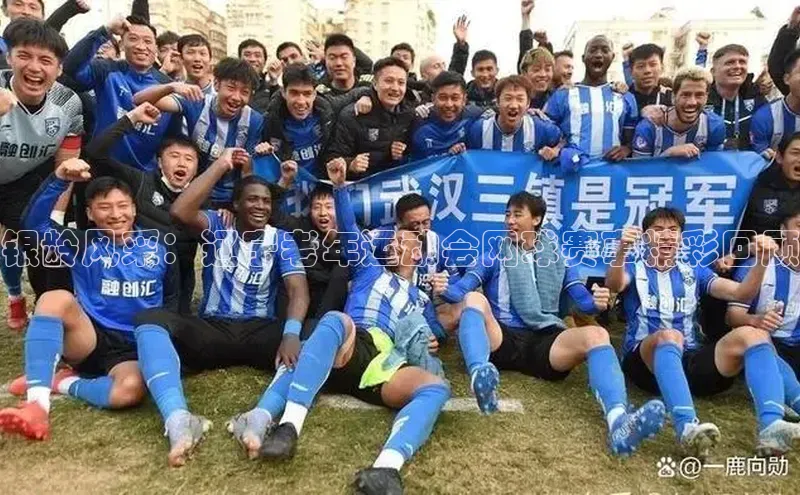 银龄风采：辽宁老年运动会网球赛事精彩回顾